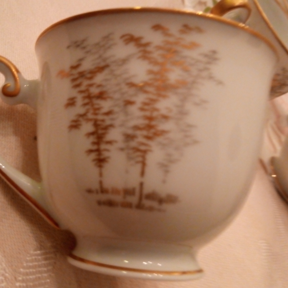 6 Demi cups